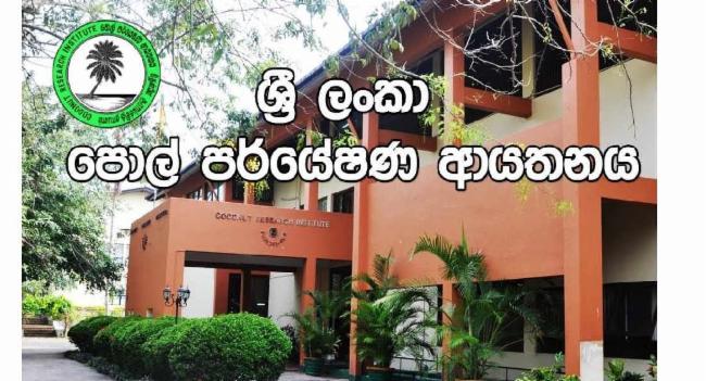පොල් වගාවේ මයිටා හානිය වර්ධනය විය හැකියි..